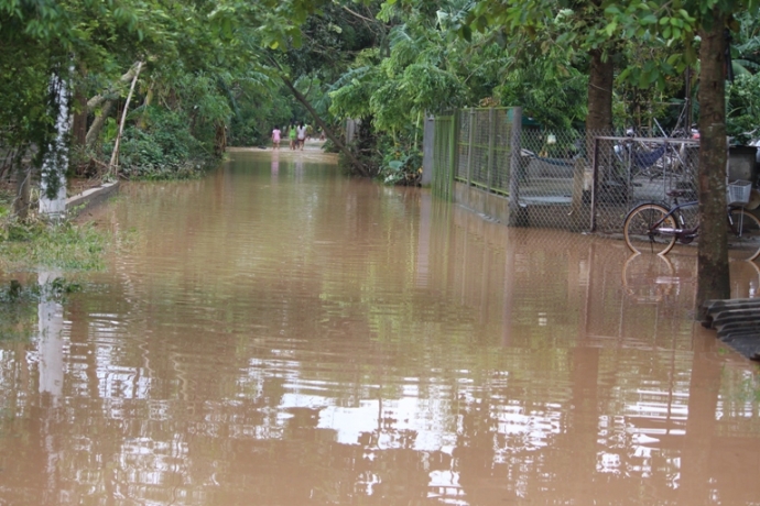 Lu- dang- xuong- dan- vung- lu- khon- don- qua- ca