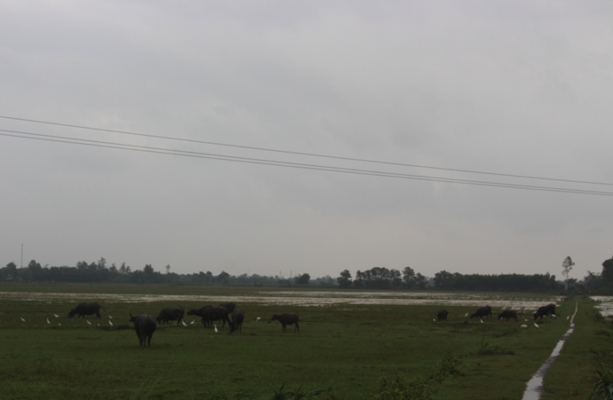 Xot- xa- nan- nhan- bi- lu- cuon- tai- Cam- Lo- Lo