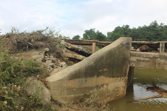 Rung- minh- qua- cau- tam- bac- tren- nhip- cau- s