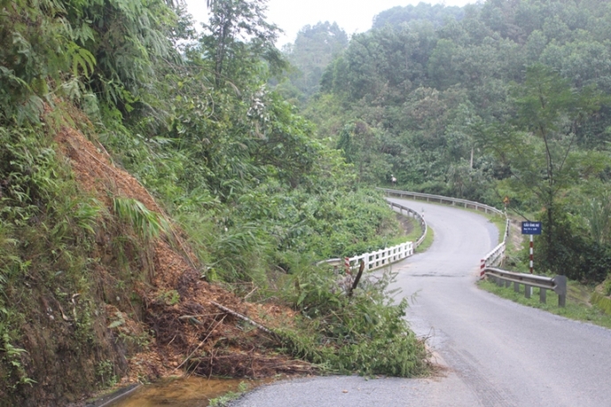 Cang- minh- khac- phuc- sat- lo- tren- duong- HCM-