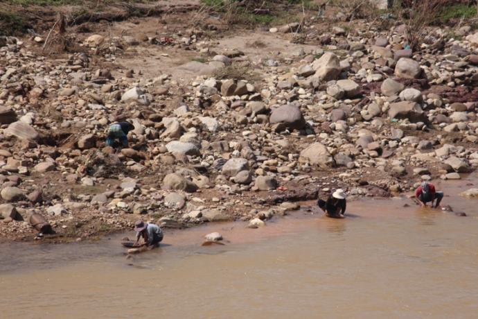 Dua- nhau- ra- song- Dakrong- san- ca- dai- vang- 