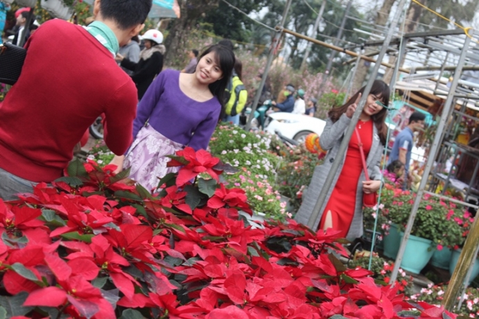 Anh- Thieu- nu- e- ap- rang- ngoi- ben- hoa- Xuan-