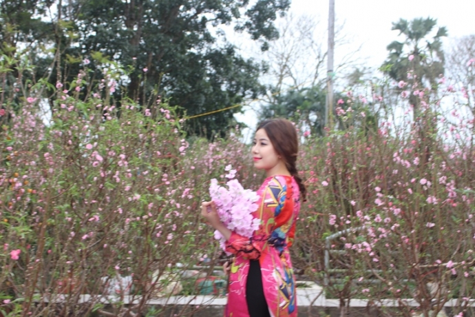 Anh- Thieu- nu- e- ap- rang- ngoi- ben- hoa- Xuan-