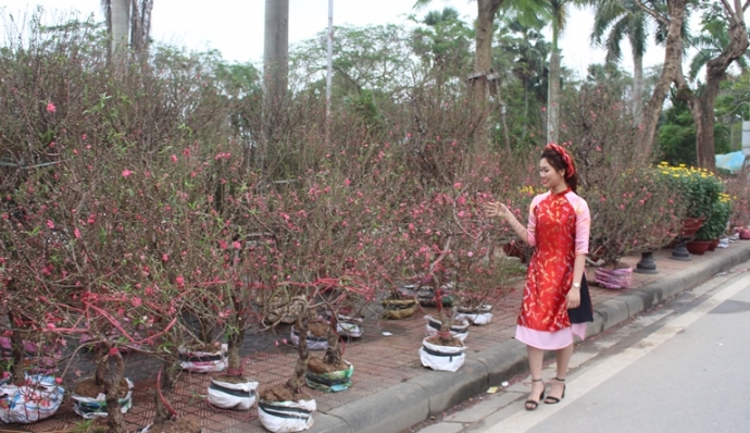 Anh- Thieu- nu- e- ap- rang- ngoi- ben- hoa- Xuan-