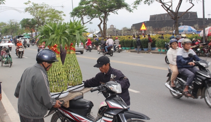 Buoi- phat- thu- bac- trieu- tai- hoi- cho- hoa- X