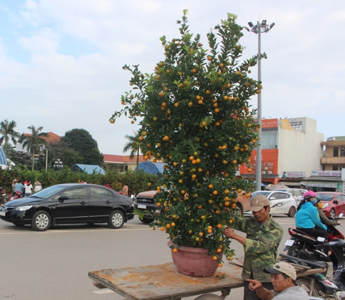 Buoi- phat- thu- bac- trieu- tai- hoi- cho- hoa- X