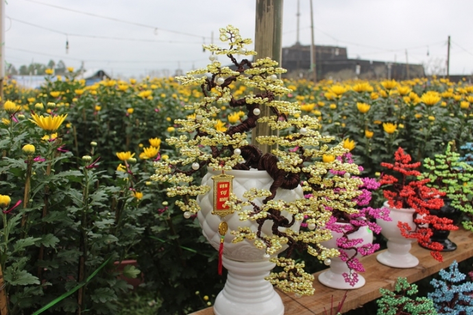 Bonsai- canh- vang- la- ngoc- cuc- doc- tai- cho- 