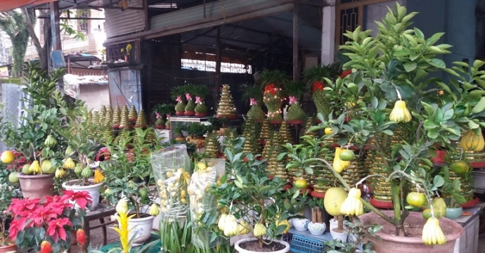 San- phat- thu- buoi- phat- thu- bac- trieu- choi-