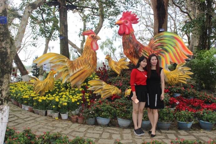 Ga- trong- gay- tren- dun- rom- tai- hoi- Xuan- co