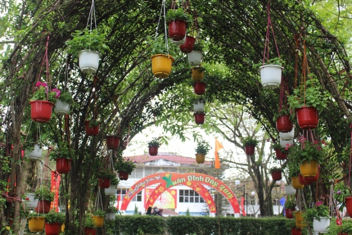 Ga- trong- gay- tren- dun- rom- tai- hoi- Xuan- co