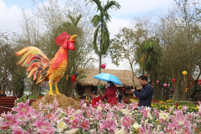 Ga- trong- gay- tren- dun- rom- tai- hoi- Xuan- co