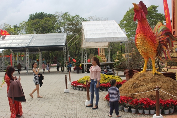 Ga- trong- gay- tren- dun- rom- tai- hoi- Xuan- co