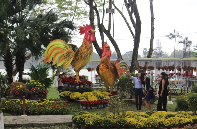 Ga- trong- gay- tren- dun- rom- tai- hoi- Xuan- co