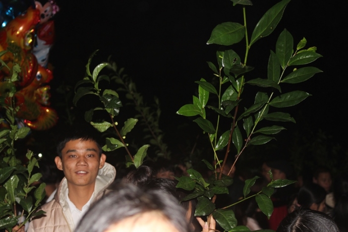 Ve- cho- Dinh- Bich- La- mua- loc- dau- nam- 13