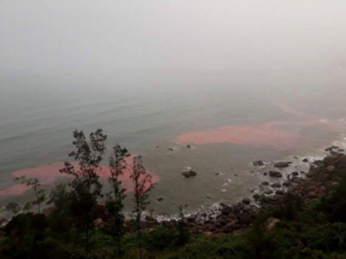 Vet- nuoc- mau- do- tai- vung- bien- Chan- May-Lan