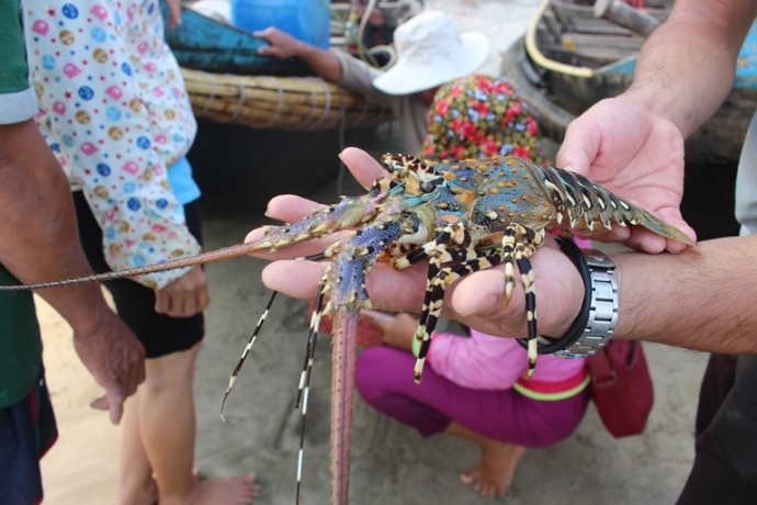 T&ocirc;m- hum- cap- ben- Cua- Tung- 1