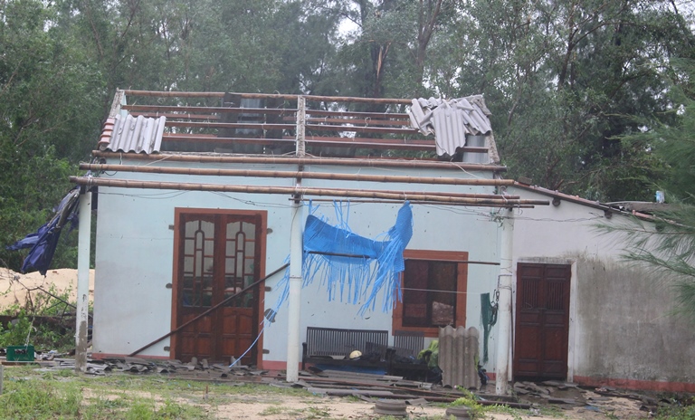 Cay- xanh- gay- do- chan- duong- CSGT- Dan- quan- 