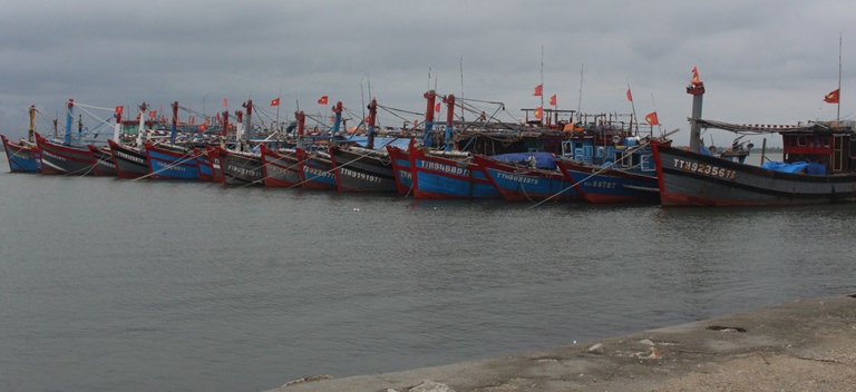 Thua- Thien- Hue- da- keu- goi- 668- tau- tuyen- v