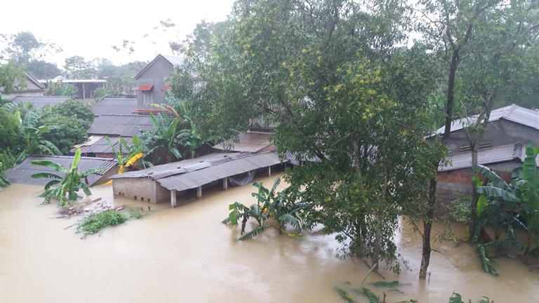 Hue- Hang- ngan- nha- dan- chim- trong- nuoc- lu- 