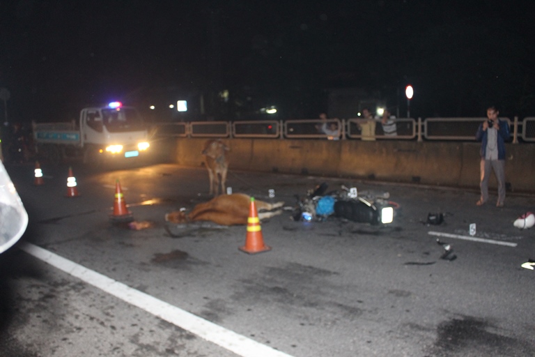 Xe- may- tong- bo- tren- QL1- Bo- chet- tai- cho- 