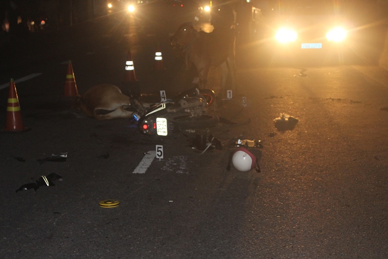 Xe- may- tong- bo- tren- QL1- Bo- chet- tai- cho- 