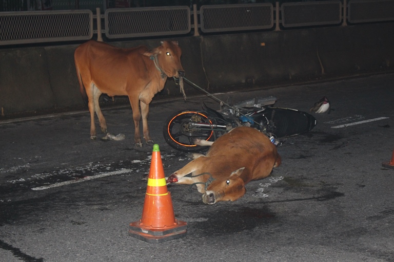 Vu- thanh- nien- tong- trung- bo- nguy- kich- Truy