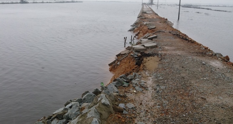 Chu- tich- tinh- yeu- cau- bao- cao- vu- de- vua-