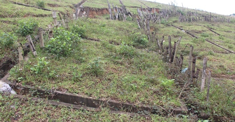 Vi- sao- So- Nong- nghiep- de- nghi- tinh- ban- bo