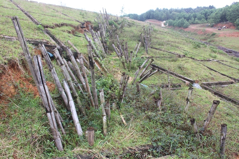 Vi- sao- So- Nong- nghiep- de- nghi- tinh- ban- bo