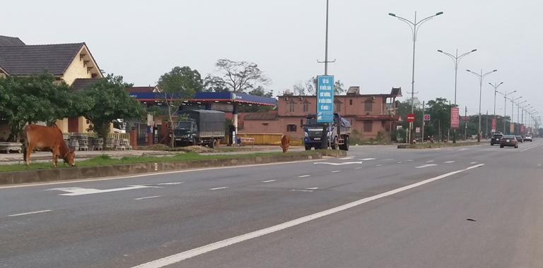 Gio- Linh- yeu- cau- tuyen- truyen- xu- ly- nghiem