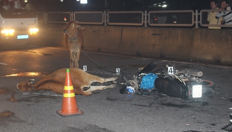 Gio- Linh- yeu- cau- tuyen- truyen- xu- ly- nghiem