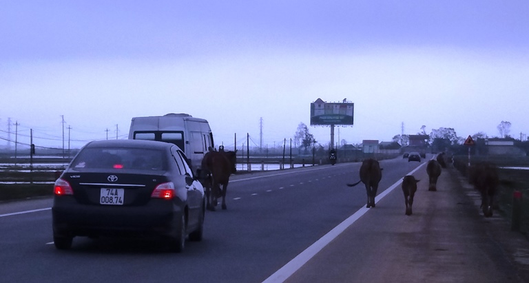Gio- Linh- yeu- cau- tuyen- truyen- xu- ly- nghiem