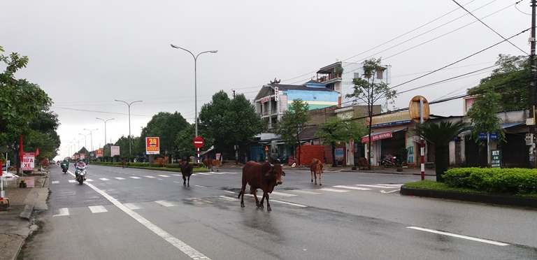 Gio- Linh- yeu- cau- tuyen- truyen- xu- ly- nghiem