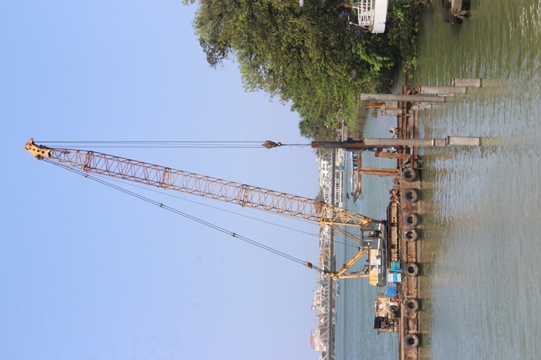 Pho- di- bo- lat- go- lim- phia- Nam- dong- song- 