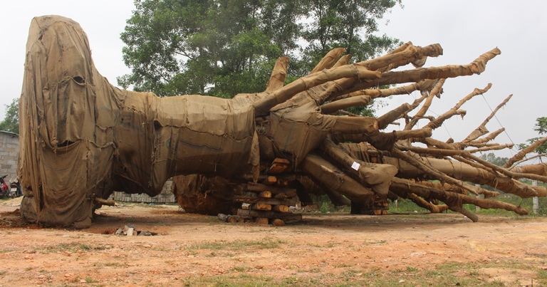 Kiem- lam- xu- ly- the- nao- voi- 3- cay- khung- n