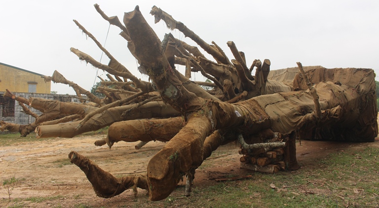 Kiem- lam- xu- ly- the- nao- voi- 3- cay- khung- n