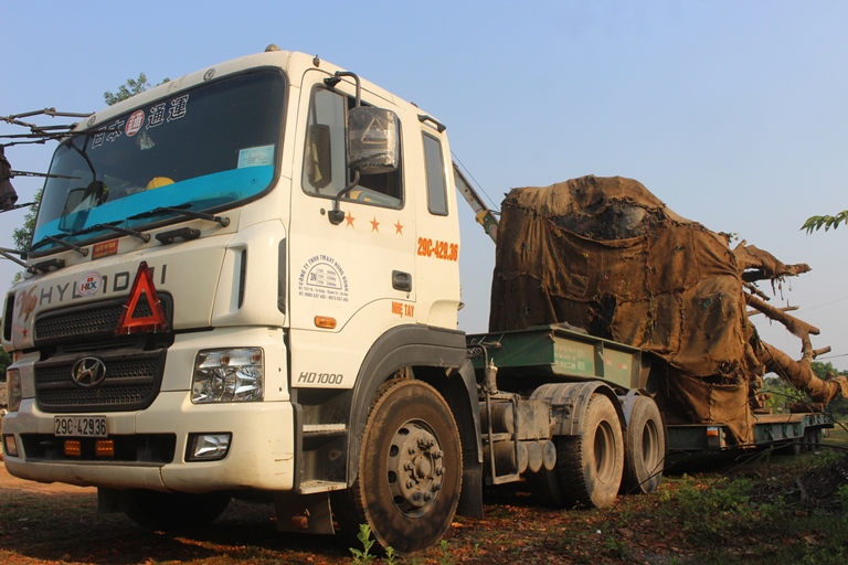 Can- canh- 3- cay- khung- nhu- quai- thu- chuan- b