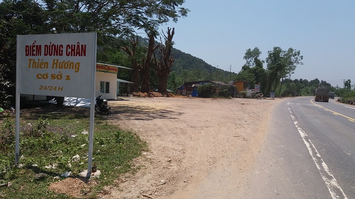 3- cay- khung- nhu- quai- thu- song- tam- tai- die