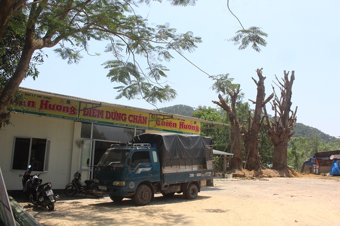 3- cay- khung- nhu- quai- thu- song- tam- tai- die