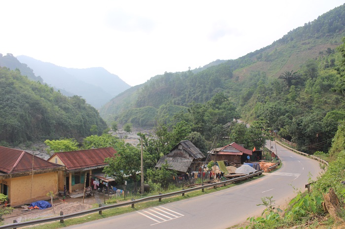 Tinh- Quang- Tri- hoa- toc- chi- dao- gi- sau- vu-