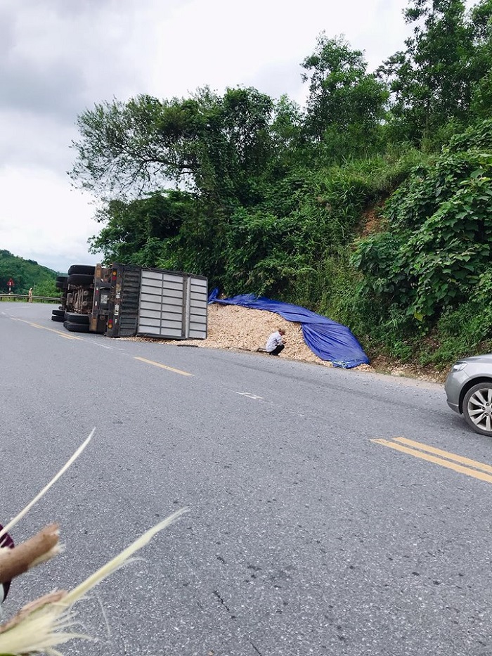 Xe- dau- keo- cho- dam- go- lai- lat- nhao- tren- 