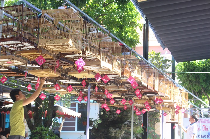 Vu- TNGT- tham- khoc- Nghe- nhan- CLB- Chim- Chao-