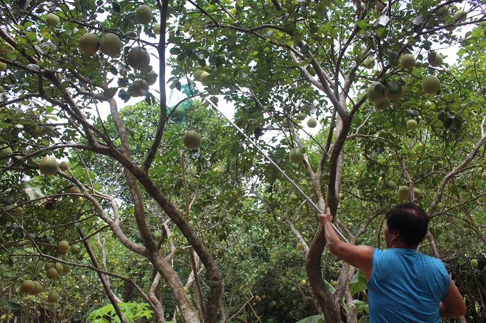 Khai- hoi- thanh- tra- dac- san- tien- vua- o- Hue