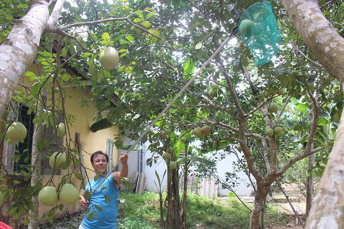 Khai- hoi- thanh- tra- dac- san- tien- vua- o- Hue