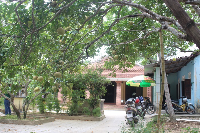 Khai- hoi- thanh- tra- dac- san- tien- vua- o- Hue