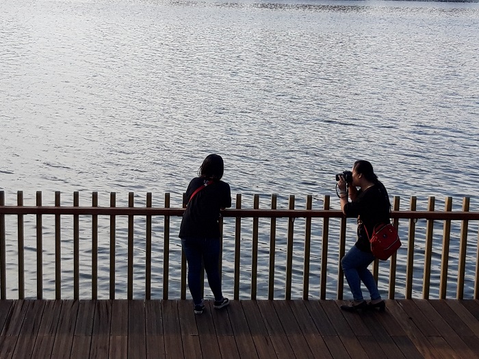 Can- canh- cay- cau- gioi- tre- ran- ran- check- i