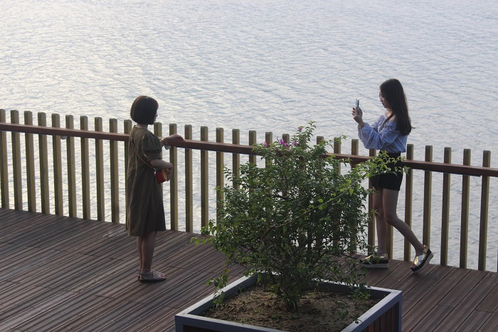 Can- canh- cay- cau- gioi- tre- ran- ran- check- i