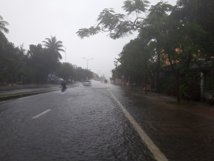 Mua- nhu- trut- gay- ngap- cuc- bo- mot- so- doan-