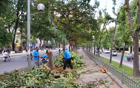 chat-tia-cay-xanh-0953