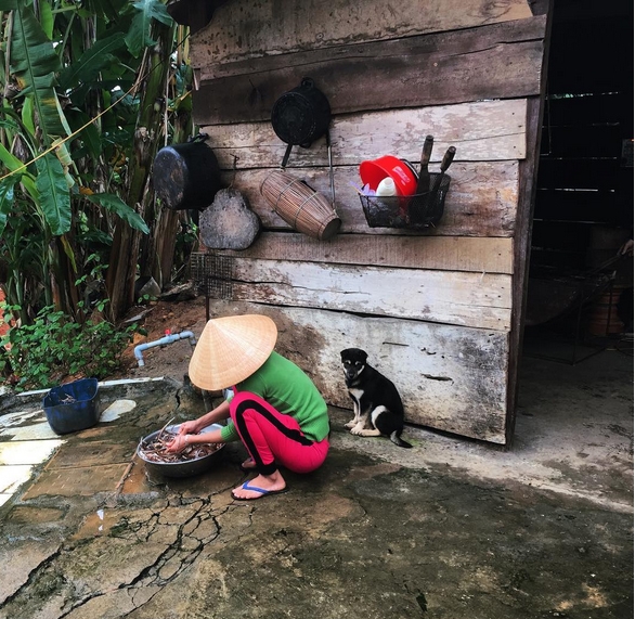 Dien vien king kong khoe anh Viet Nam baogiaothong